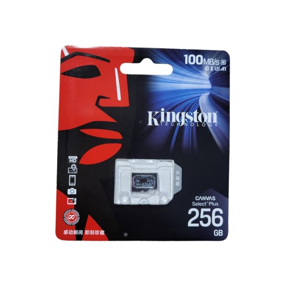 Kingston SD Card 256 GB