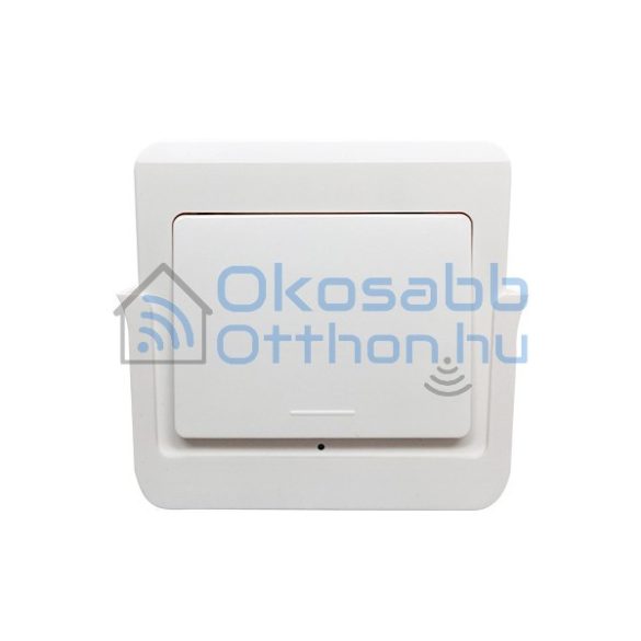 RFM1 1-gang wireless RF wall switch, removable from holder